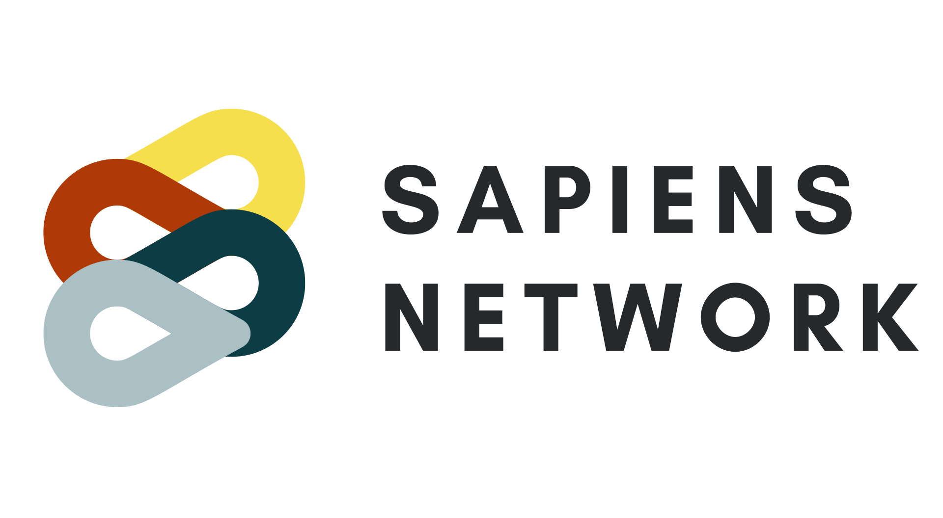 Sapiens network Cluj IT