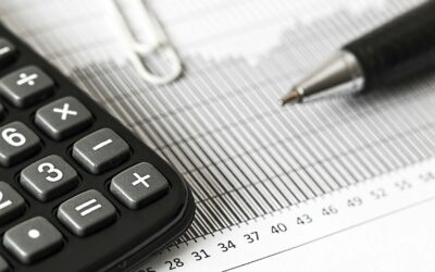 How businesses can get help with E-VAT in 2025